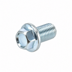 Honda 10mm Sealing Bolt